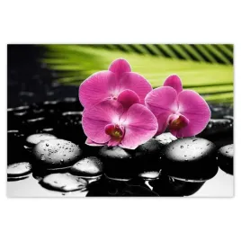 baner-185x125-spa-kamienie-i-oleandry