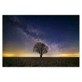 baner-185x125-samotne-drzewo-i-gwiazdy