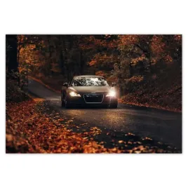 baner-185x125-audi-jesienny-pejzaz