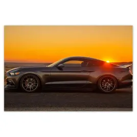 baner-120x80-ford-mustang-made-in-usa