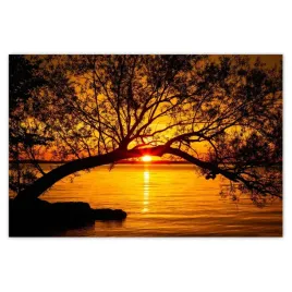 baner-120x80-plaza-drzewo-morze