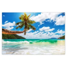 baner-120x80-tropiki-pejzaz-palmy