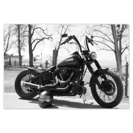 baner-155x105-harley-davidson-motocykl
