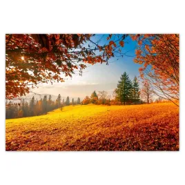 baner-155x105-jesienny-krajobraz