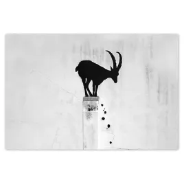 baner-120x80-kozica-banksy-gazela-gorska-brak-prywatnosci-mural