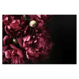 baner-120x80-piekne-fioletowe-piwonie
