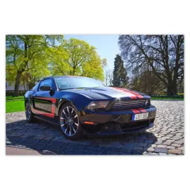 baner-155x105-ford-mustang-z-paskami