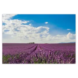 baner-155x105-pole-lawendy-lawenda
