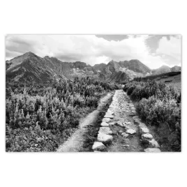 baner-120x80-tatry-polskie-gory-widok