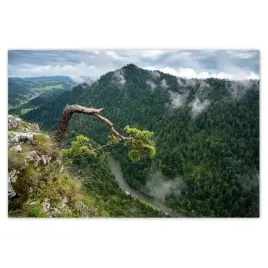 baner-120x80-pejzaz-krajobraz-sokolica