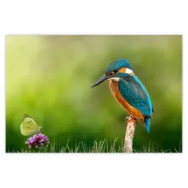 baner-120x80-co-by-tu-schrupac