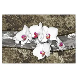 baner-120x80-biala-orchidea-marmurkowe-tlo