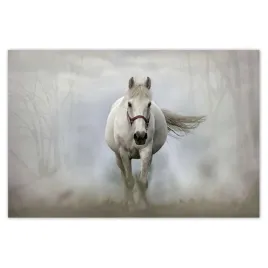 baner-120x80-kon-konie-jezdziectwo