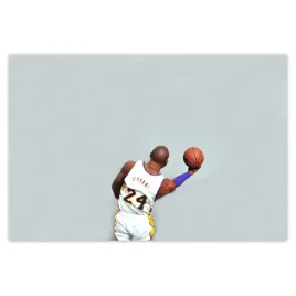 baner-120x80-bryant-koszykarz