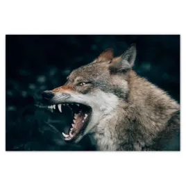 baner-120x80-wilk-wilki-wolf