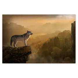 baner-120x80-szary-wilk-na-skarpie