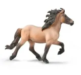 icelandic-stallion-bay-dun