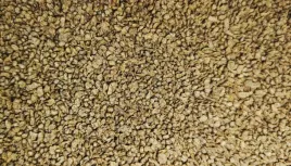 tropical-3-algae-granulat-250g-pokarm-dla-ryb-akwariowych