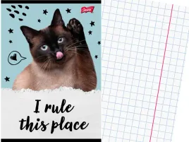 szkolny-zeszyt-a5-kratka-32-kartki-w-kratke-kot-kotek-caturday