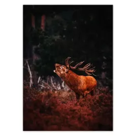baner-50x70-jelen-na-rykowisku-las