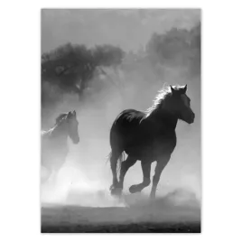 baner-50x70-galopujace-konie