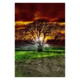 baner-105x155-magiczne-drzewo-krajobraz