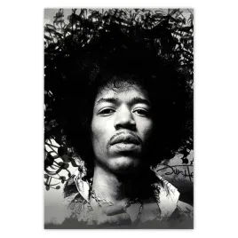 baner-105x155-jimmy-hendrix-z-nutami