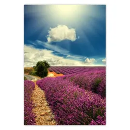 baner-105x155-lawendowy-pejzaz
