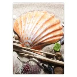 baner-50x70-muszle-z-baltyckiej-plazy