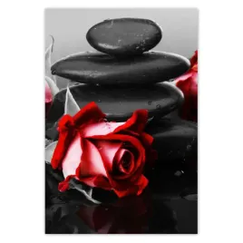 baner-105x155-czerwone-roze-kamienie