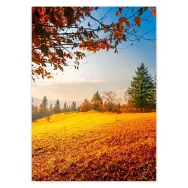 baner-50x70-jesienny-krajobraz