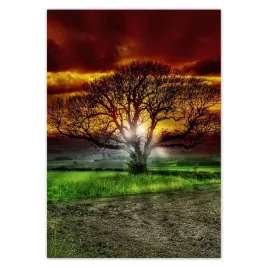 baner-70x100-magiczne-drzewo-krajobraz