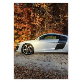 baner-50x70-jesienne-audi-samochod