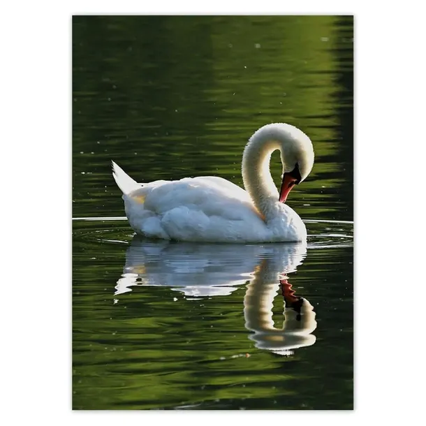 baner-50x70-labedz