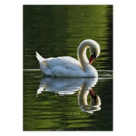 baner-50x70-labedz
