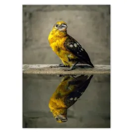 baner-50x70-odbicie-w-wodzie-ptaszek