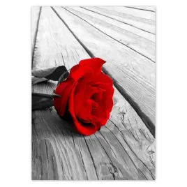 baner-50x70-czerwona-roza-na-deskach