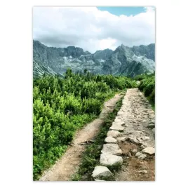baner-70x100-kamienista-droga-tatry