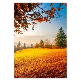 baner-70x100-jesienny-krajobraz