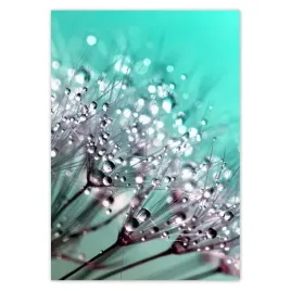 baner-70x100-krople-rosy-dmuchawiec