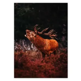 baner-50x70-jelen-na-rykowisku-las