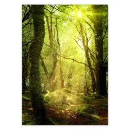 baner-50x70-magiczny-las-krajobraz