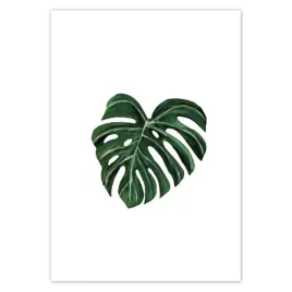 baner-70x100-monstera-deliciosa-lisc