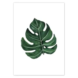 baner-70x100-monstera-zielony-lisc