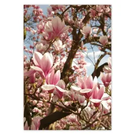 baner-70x100-magnolie-kwiaty-blekit