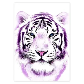baner-50x70-delikatna-grafika-tygrys-na-bialym-tle-tiger