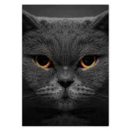 baner-50x70-dostojny-kot