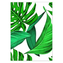 baner-50x70-soczysta-monstera-tropiki