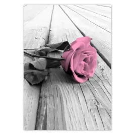 baner-70x100-roza-na-jasnych-deskach