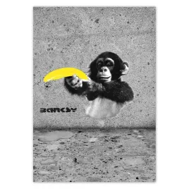 baner-70x100-banksy-banan-malpa